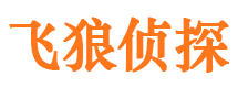 平远市婚姻调查